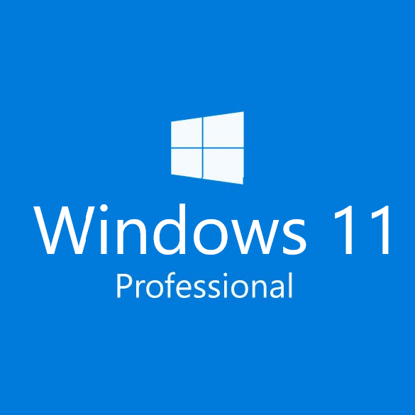 Windows 11 Professional