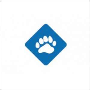 SmartBear Collaborator