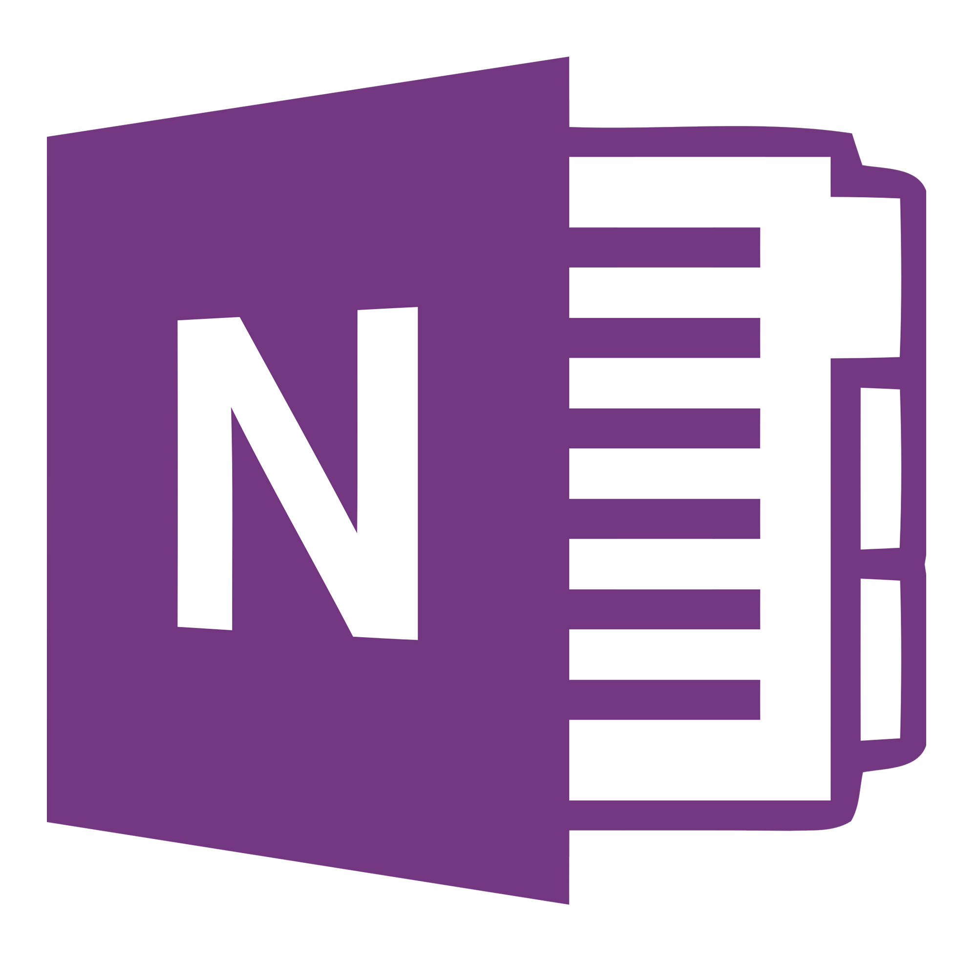 Microsoft OneNote 2013  