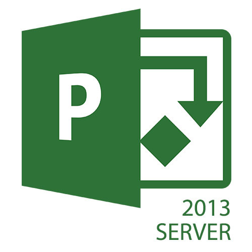 Microsoft Project Server 2013