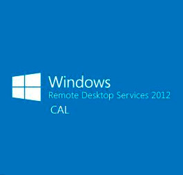 Microsoft Windows Remote Desktop Services CAL (Удаленное подключение)