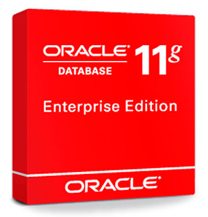Oracle Database Enterprise Edition Processor License