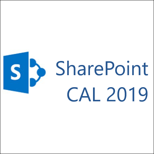 Microsoft SharePoint Server Standard CAL 2019