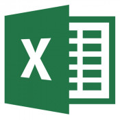 Microsoft Excel 2013