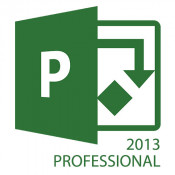 Microsoft Project Professional 2013