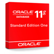 Oracle Database Standard Edition One User License