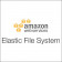 Amazon Elastic File System