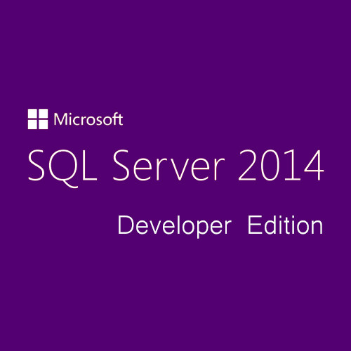 Microsoft SQL Server Developer Edition 2014