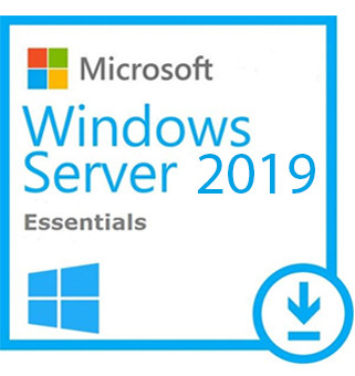 Microsoft Windows Server 2019 Essentials