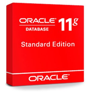 Oracle Database Standard Edition User License