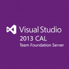 Microsoft Visual Studio Team Fndation Svr CAL 2013