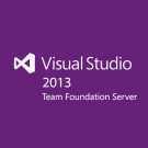 Microsoft Visual Studio Team Foundation Svr 2013