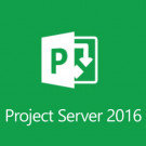 Microsoft Project Server 2016