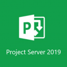 Microsoft Project Server 2019