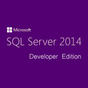 Microsoft SQL Server Developer Edition 2014