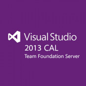 Microsoft Visual Studio Team Fndation Svr CAL 2013