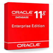 Oracle Database Enterprise Edition Processor License