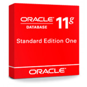 Oracle Database Standard Edition One Processor License